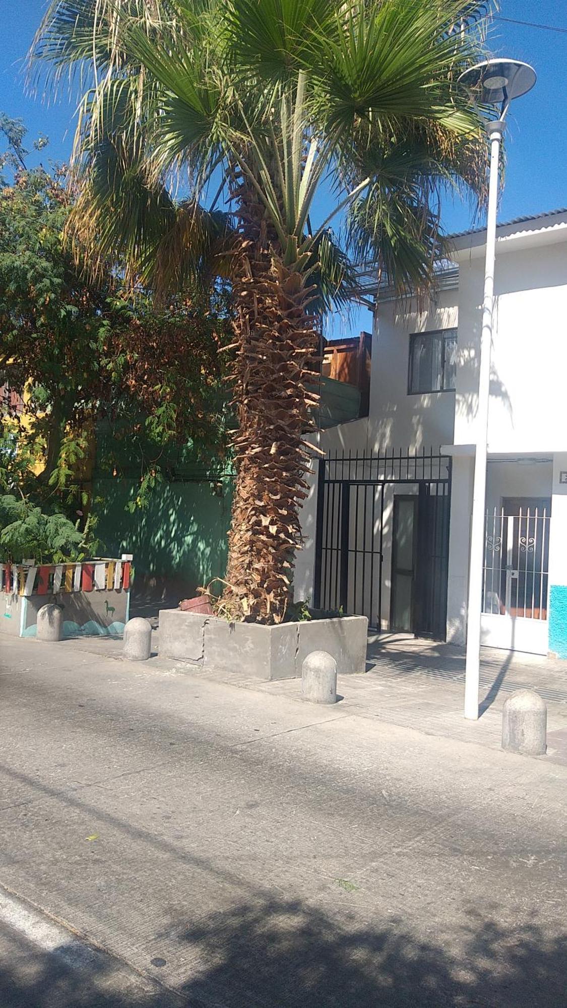Hostal La Ruca อันโตฟากัสตา ภายนอก รูปภาพ